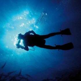 Plongée en mer