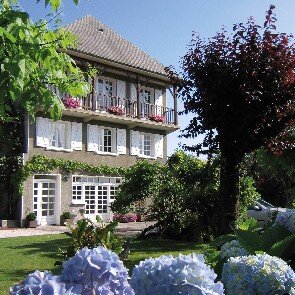 Les Hortensias