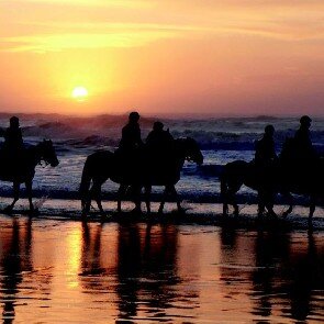 Equitation