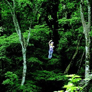 Parcours aventure